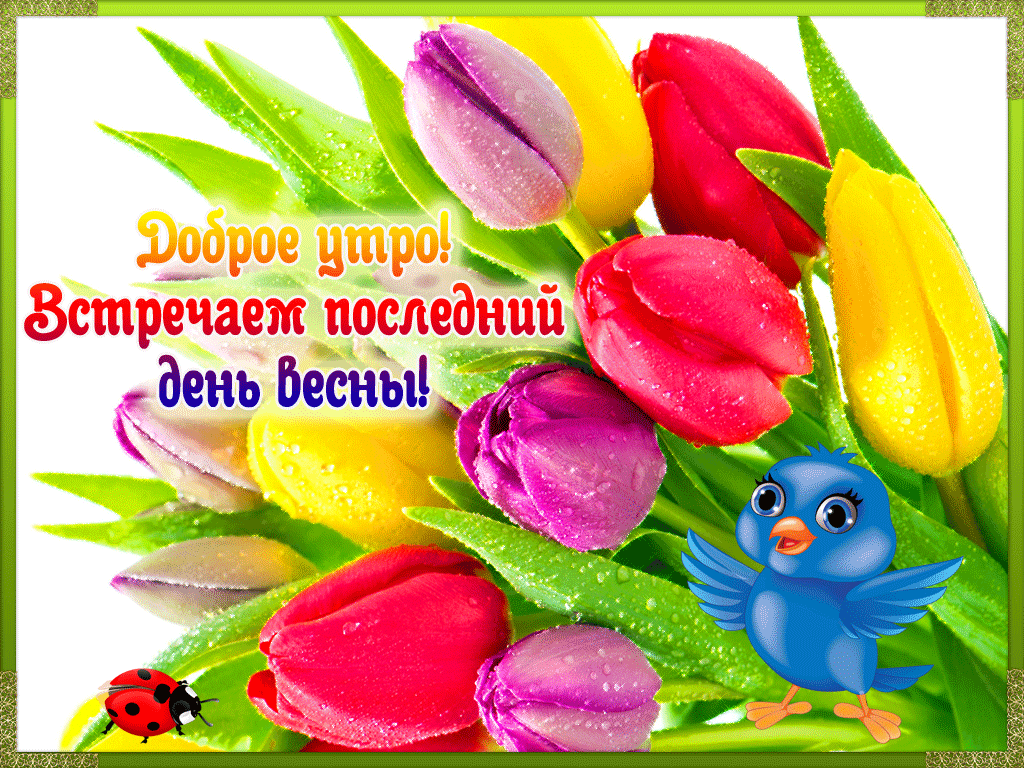 Картинки с последним днем весны . Гифки с последним днем весны