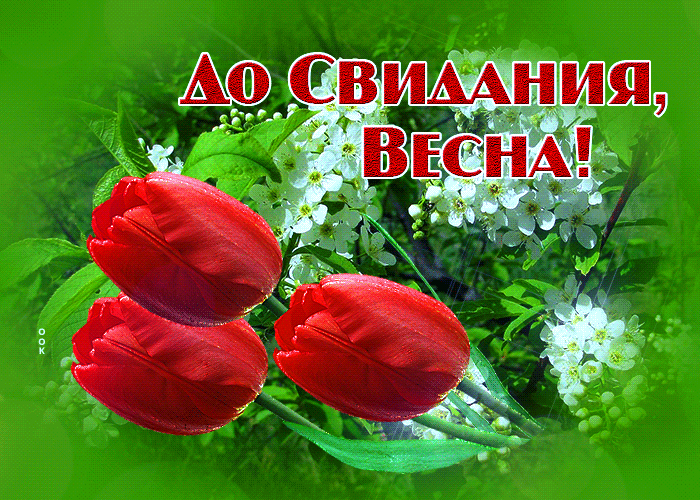 Картинки с последним днем весны . Гифки с последним днем весны