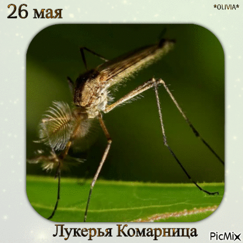 Картинки на Лукерью Комарницу (20 открыток). Гифки