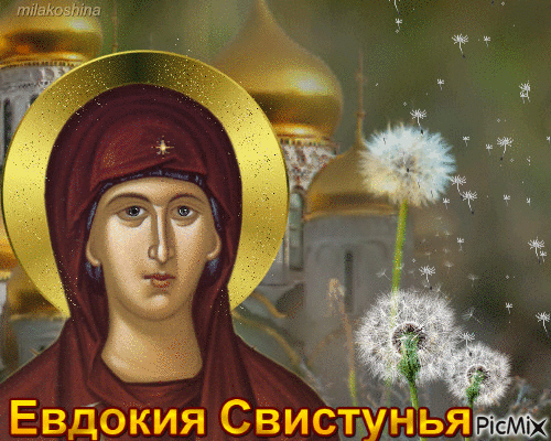 Картинки на Евдокию Свистунью (15 открыток). Гифки
