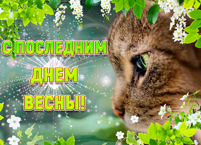 Картинки с последним днем весны . Гифки с последним днем весны