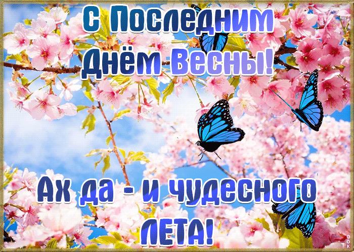 Картинки с последним днем весны . Гифки с последним днем весны