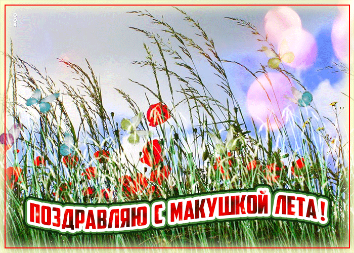 Картинки с первым днем июля (75 открыток). Гифки с макушкой лета