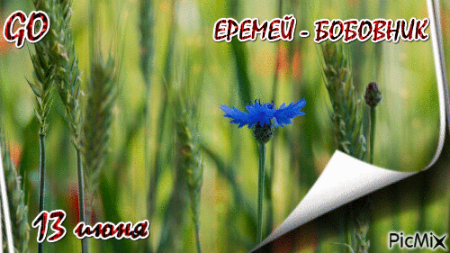 Картинки Еремей Распрягальник (15 открыток). Гифки Еремей-бобовник