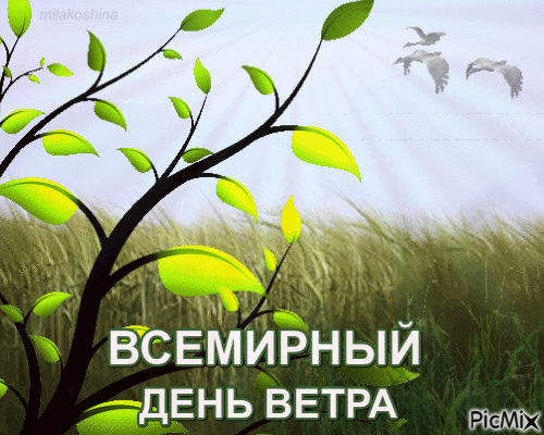 Картинки со Всемирным днем ветра (70 открыток). Гифки