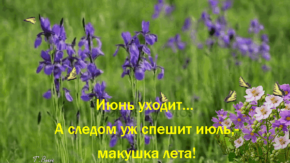 Картинки с первым днем июля (75 открыток). Гифки с макушкой лета
