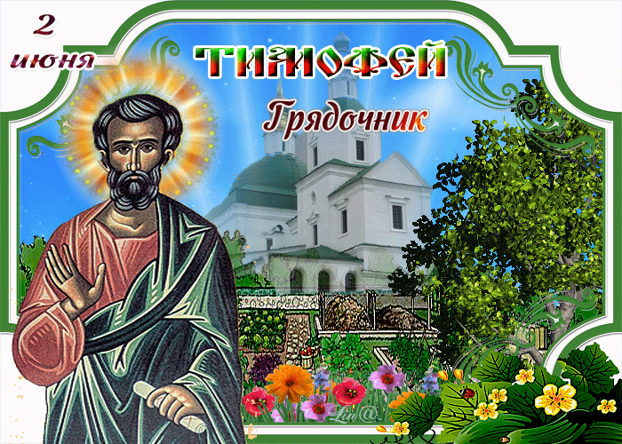 Картинки Тимофей Грядочник (18 открыток). Гифки