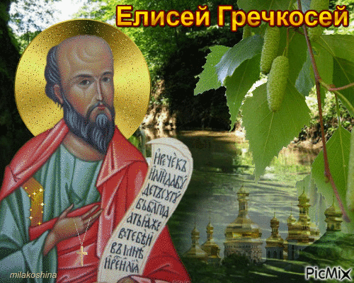 Картинки Елисей Гречкосей (16 открыток). Гифки