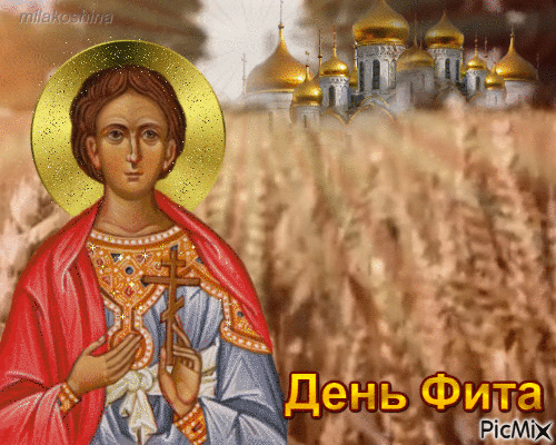 Картинки с Днем Фита (12 открыток). Анимированные гифки