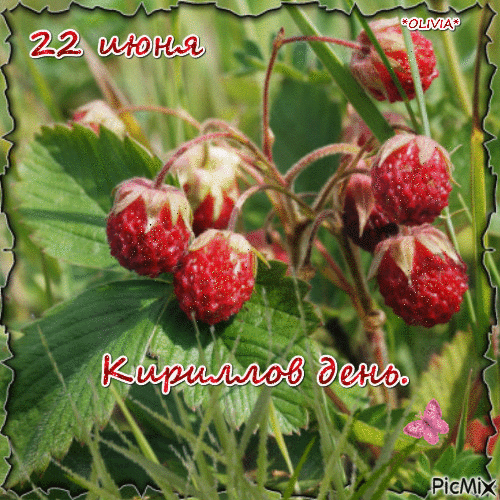 Картинки Кириллов день (23 открытки). Анимированные гифки