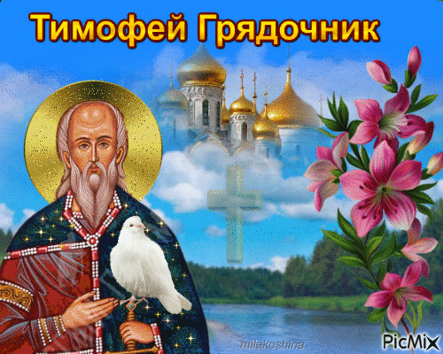 Картинки Тимофей Грядочник (18 открыток). Гифки