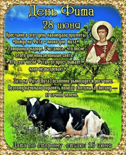 Картинки с Днем Фита (12 открыток). Анимированные гифки