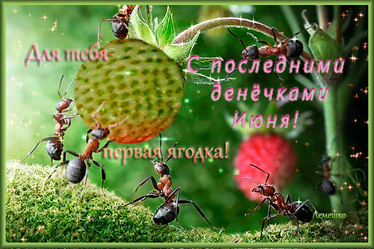 Картинки с последним днем июня (24 открытки). Анимированные гифки