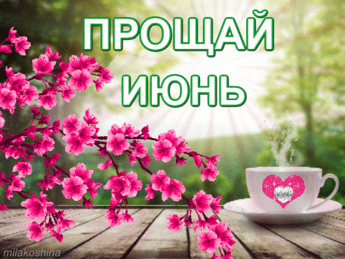 Картинки с последним днем июня (24 открытки). Анимированные гифки