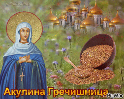 Картинки Акулина Гречишница (17 открыток). Анимированные гифки