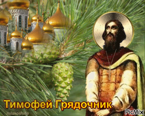 Картинки Тимофей Грядочник (18 открыток). Гифки