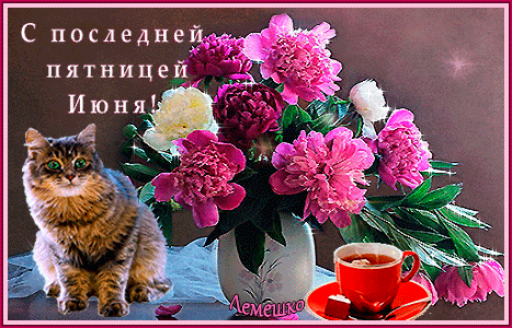 Картинки с последним днем июня (24 открытки). Гифки с последней пятницей июня