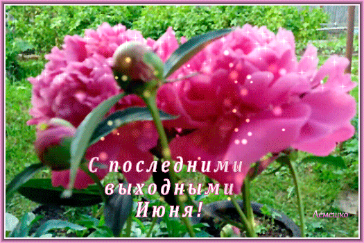 Картинки с последним днем июня (24 открытки). Гифки с последними выходными июня