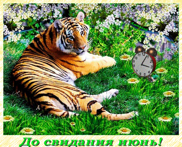 Картинки с последним днем июня (24 открытки). Анимированные гифки