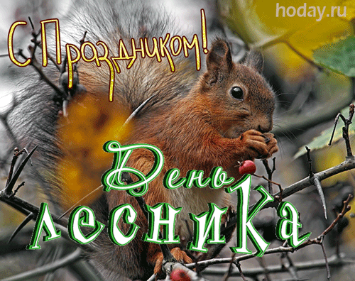 Открытки с Днем работников леса. Анимированные картинки на День работников леса
