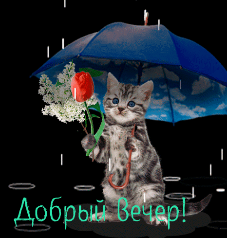 Картинки Добрый вечер. Анимированные картинки "Добрый вечер"