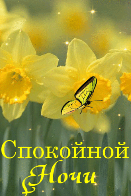 Картинки "Спокойной ночи" (120 открыток). Анимированные картинки (гифки) Спокойной ночи 