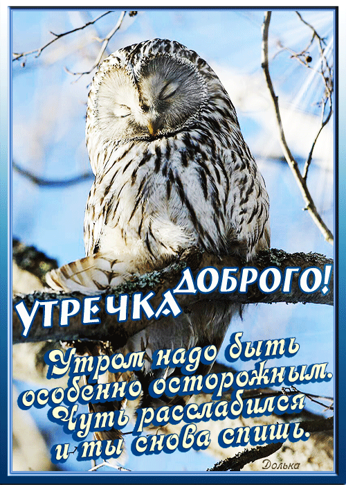 Картинки Доброго зимнего утра. Гифки с Добрым утром (картинки с анимацией)