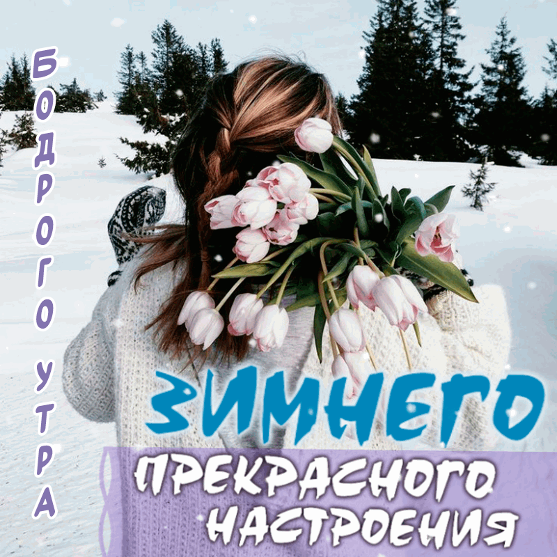 Картинки Доброго зимнего дня. Гифки Доброго зимнего дня