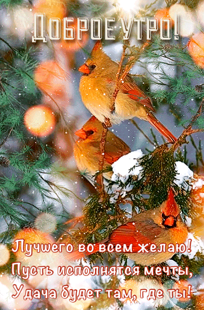 Картинки Доброе утро декабря . Картинки Доброе декабрьское утро