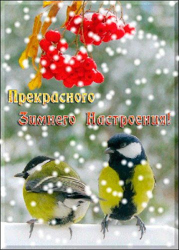 Картинки Доброго зимнего дня. Гифки Доброго зимнего дня