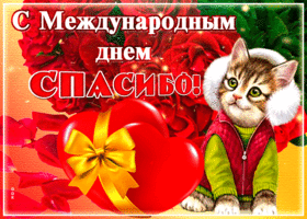 Картинки с Международным Днем Спасибо. Анимированные картинки с Днем Спасибо