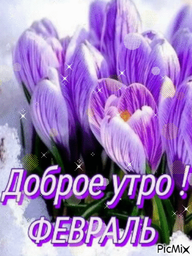 Картинки Доброе утро февраля. Гифки с Добрым утром февраля (картинки с анимацией)