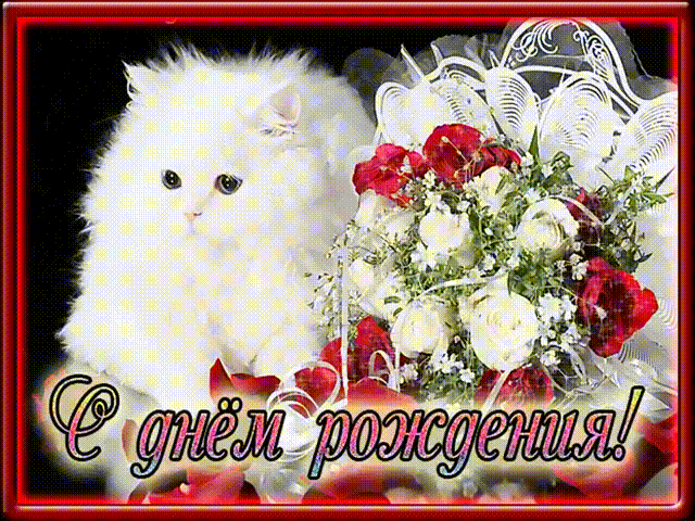 Гифки с Днем рождения (65 картинок). Красивые гифки с Днем рождения 