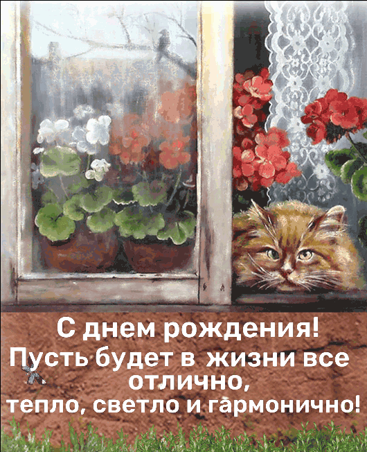 Гифки с Днем рождения (65 картинок). Красивые гифки с Днем рождения 