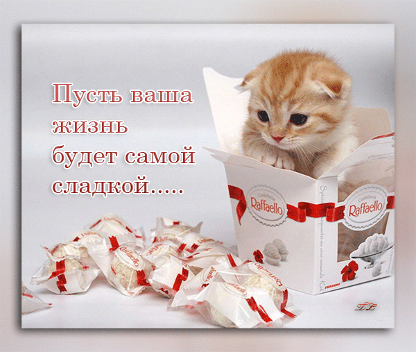 Картинки с красивыми и добрыми пожеланиями. Красивые гифки с пожеланиями