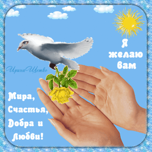 Картинки с красивыми и добрыми пожеланиями. Красивые гифки с пожеланиями