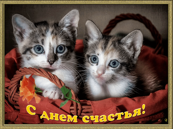 Картинки с Международным Днем счастья. Анимированные картинки с Международным Днем счастья