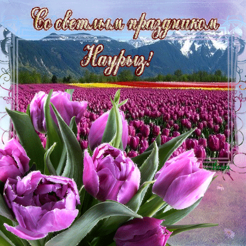 Картинки с праздником Навруз (Наурыз). Гифки с праздником Навруз (Наурыз)