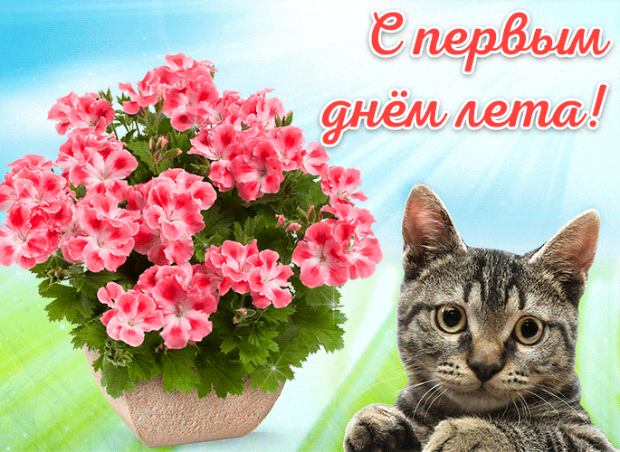 Картинки с началом лета. Гифки с началом лета