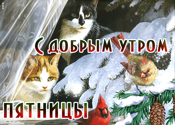 Прикольные картинки Доброе утро пятницы. Гифки Доброе утро пятница