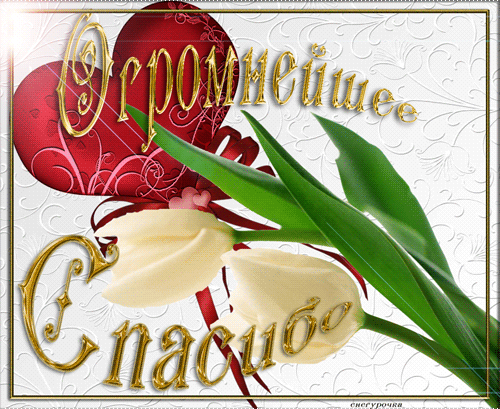 Картинки и гифки "Спасибо" красивые и прикольные. Анимированные картинки (гифки) с надписями "Спасибо"