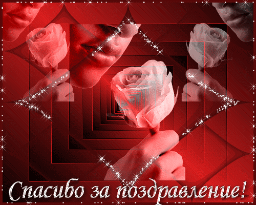 Картинки и гифки "Спасибо" красивые и прикольные. Анимированные картинки (гифки) с надписями "Спасибо"