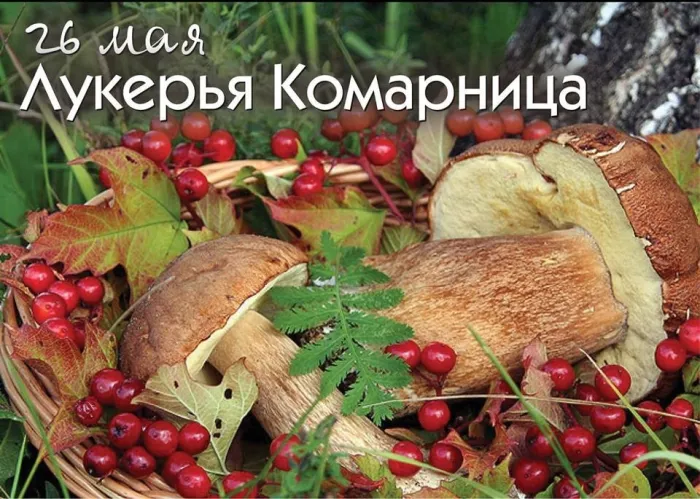 Картинки на Лукерью Комарницу (20 открыток). Картинки с надписями