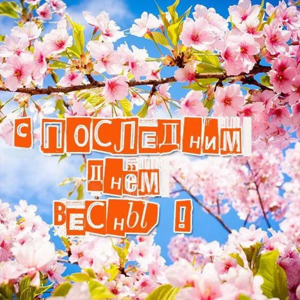 Картинки с последним днем весны . С последним днем весны