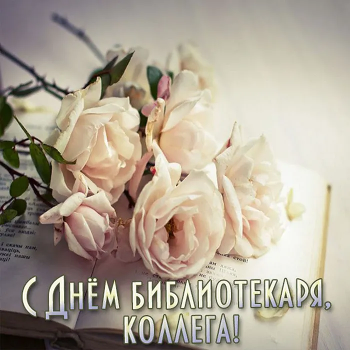Картинки с Днем библиотек (95 открыток). Открытки с Днем библиотекаря