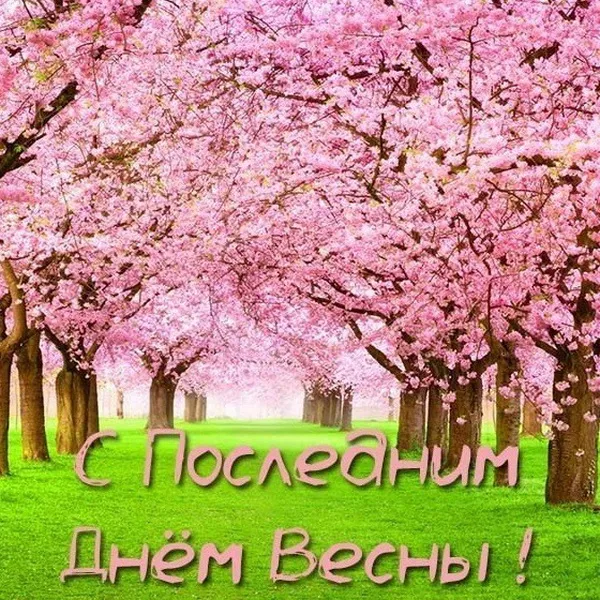 Картинки с последним днем весны . С последним днем весны