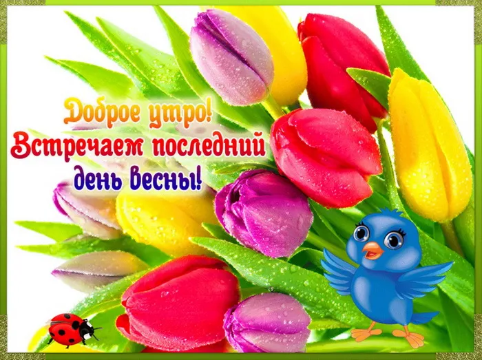 Картинки с последним днем весны . С последним днем весны