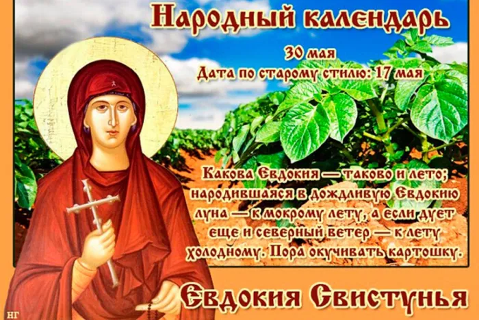 Картинки на Евдокию Свистунью (15 открыток). Открытки
