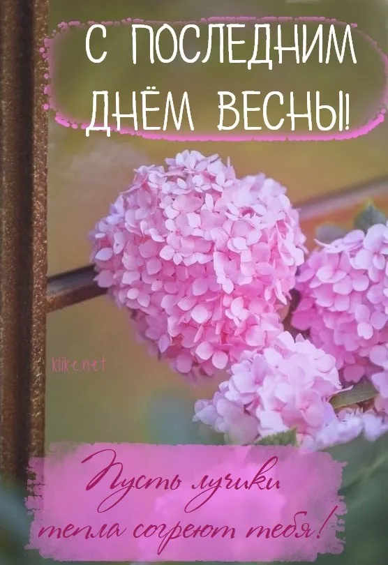 Картинки с последним днем весны . С последним днем весны
