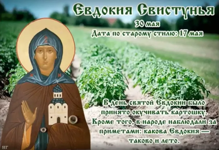 Картинки на Евдокию Свистунью (15 открыток). Открытки